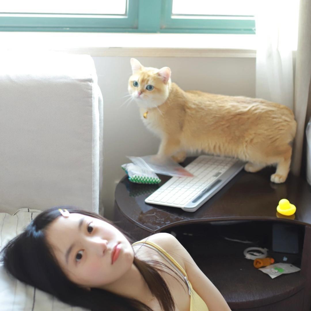 茄子打包