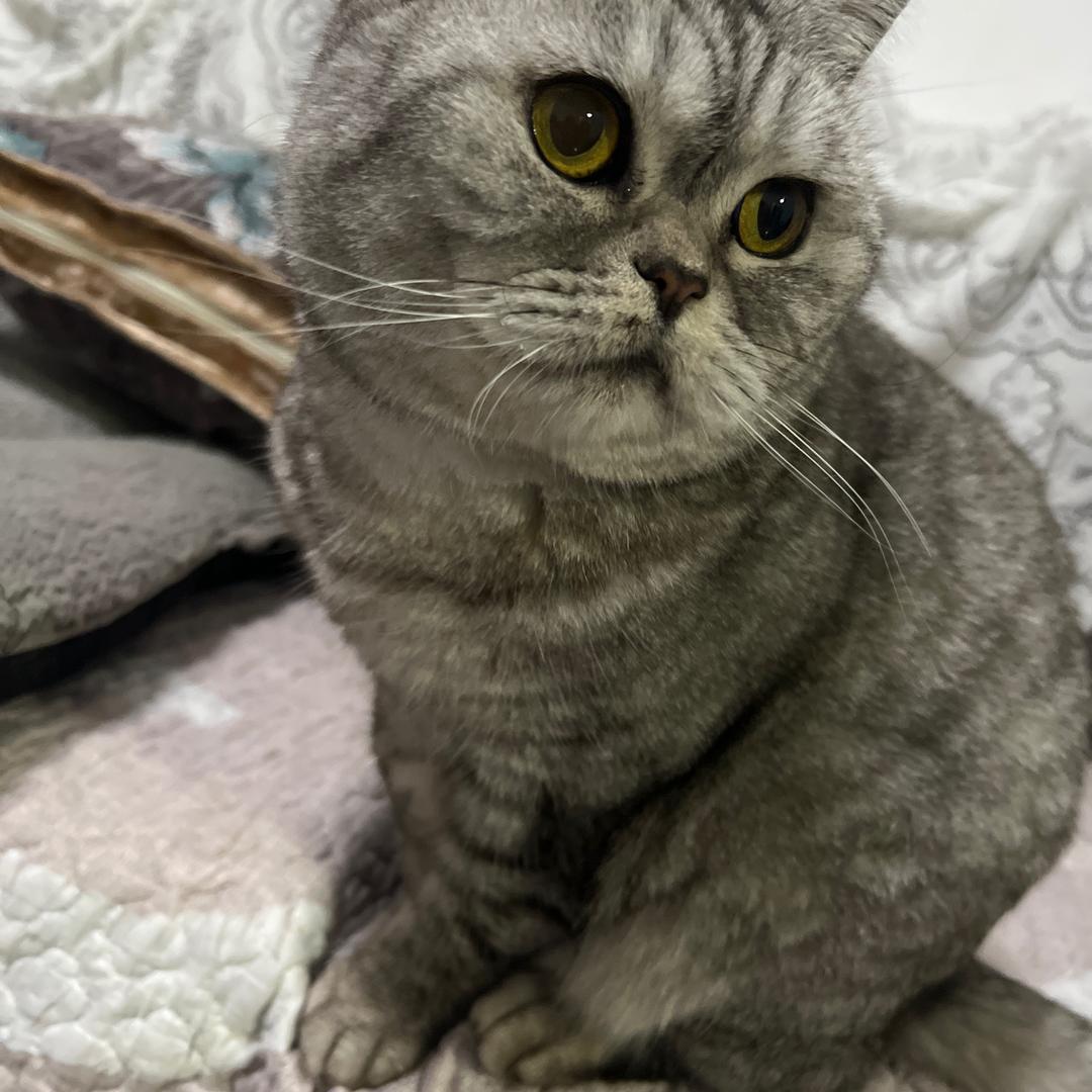 龙华昊嘉若百货