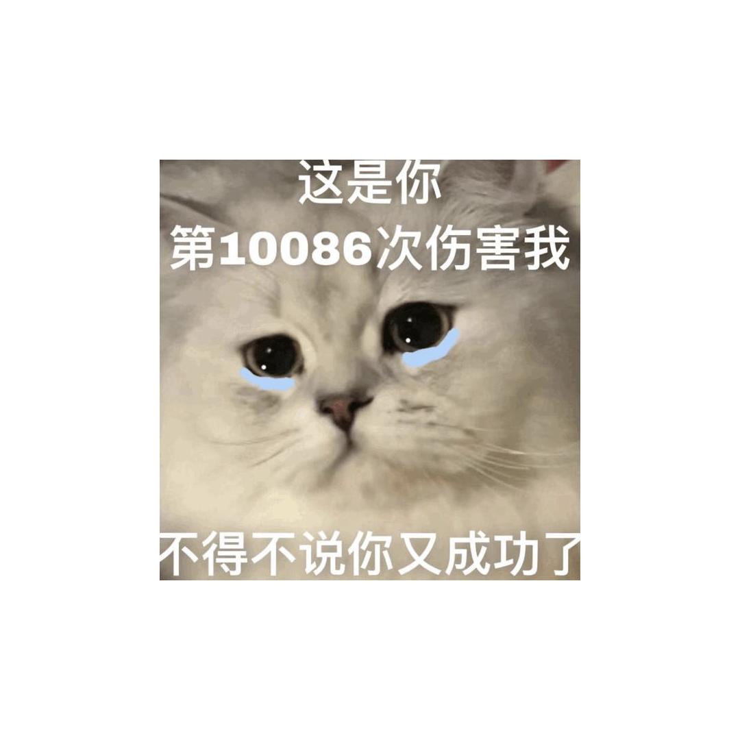 梦开始的地方jzg