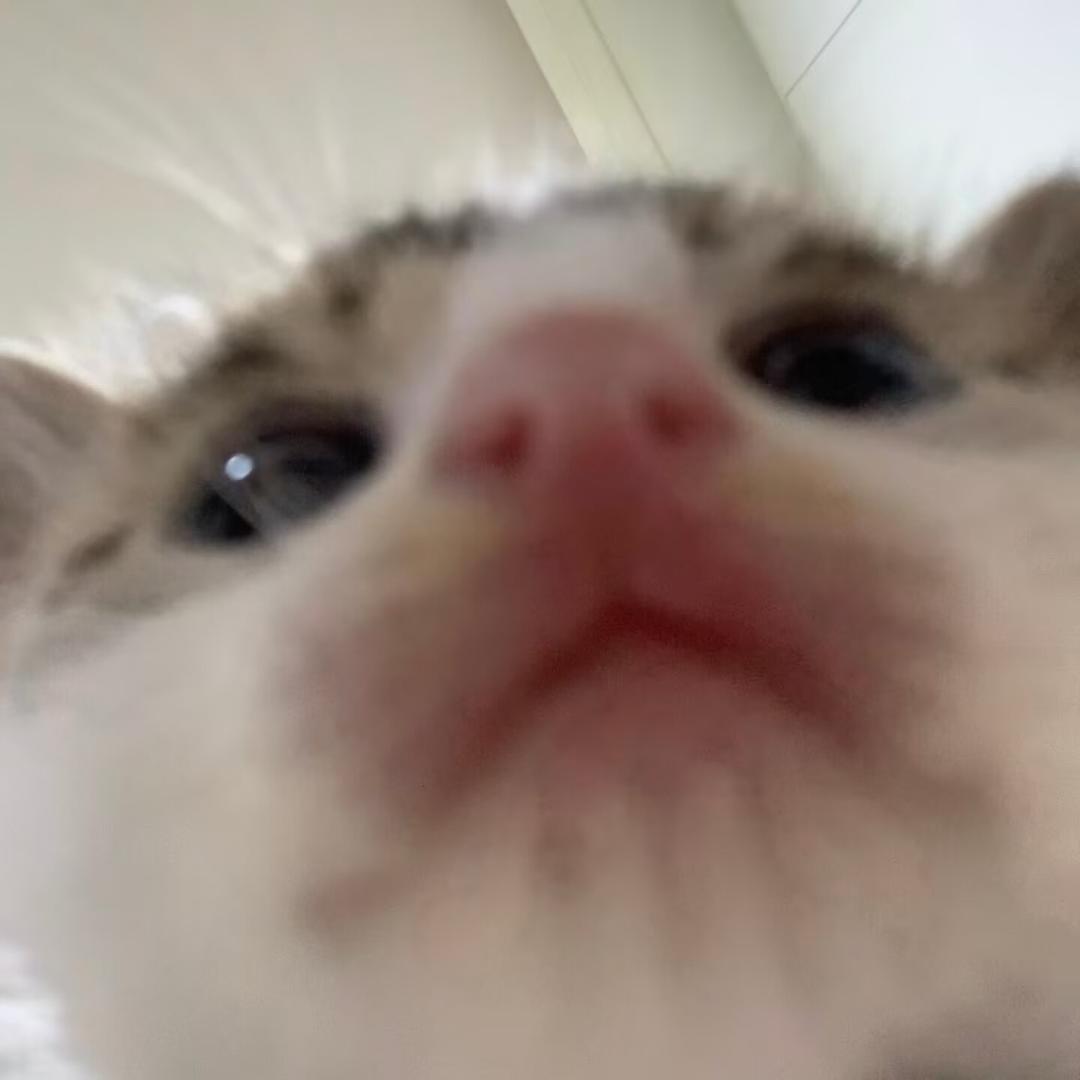 Sherry雪莉吃吃吃喝喝