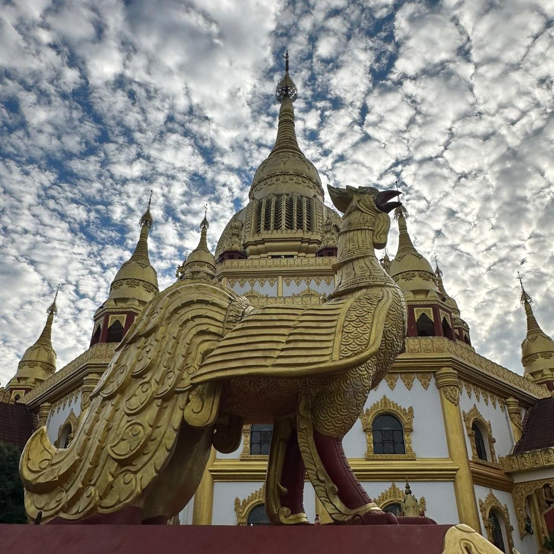 相逢已是上上签