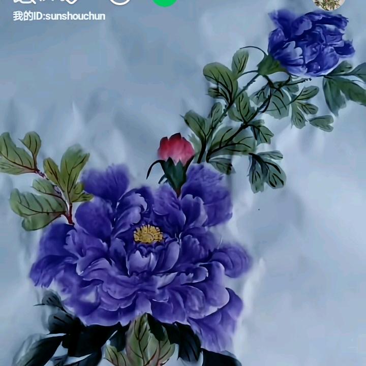 杨柳春风