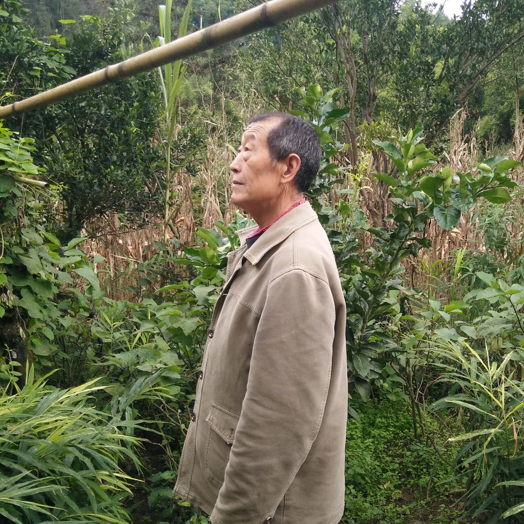 国泰民安