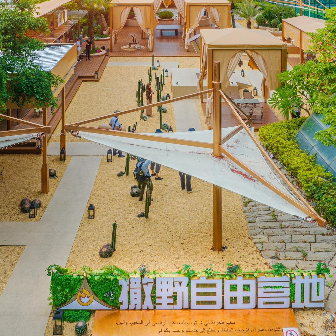 SAYE.FREEDOM CAMP 撒野