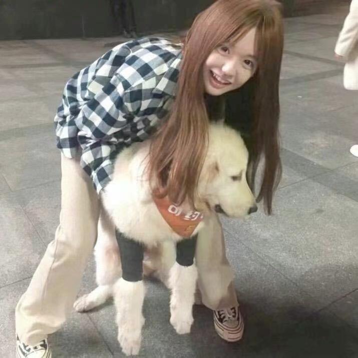 不止雾
