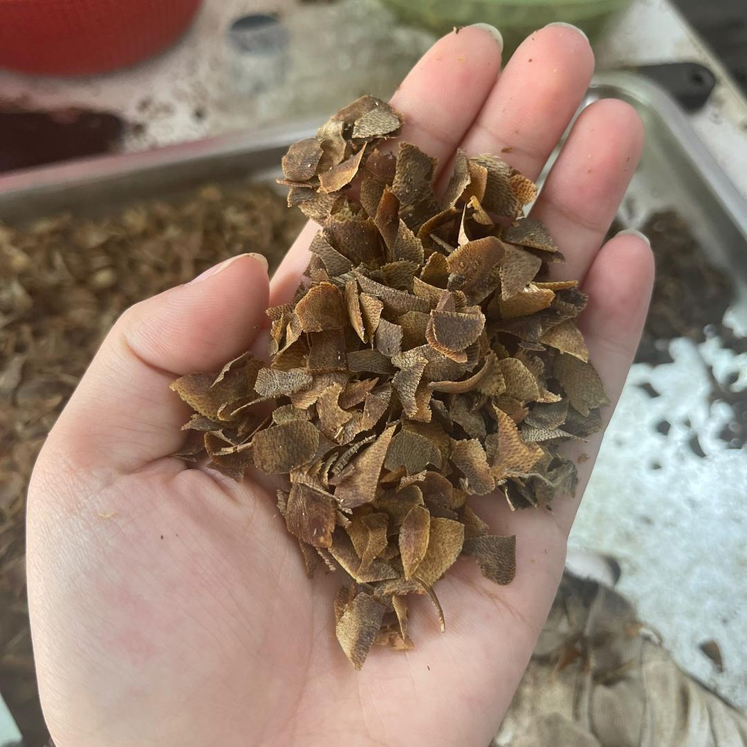 富悦香阁
