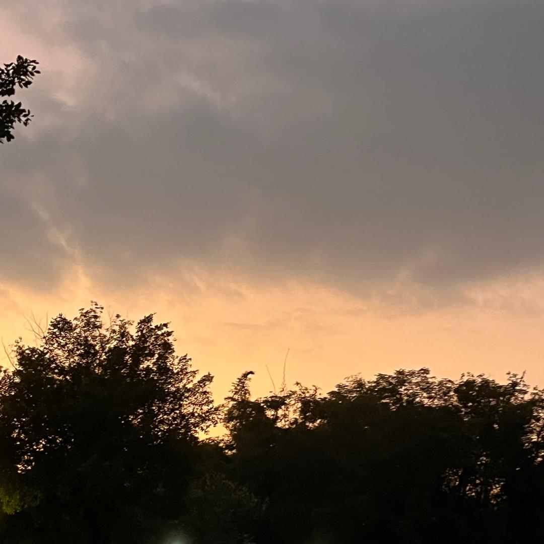 每天都要吃早餐