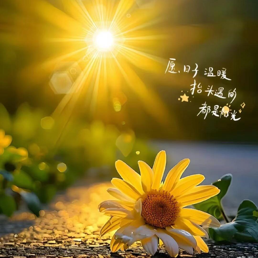 匆匆那年
