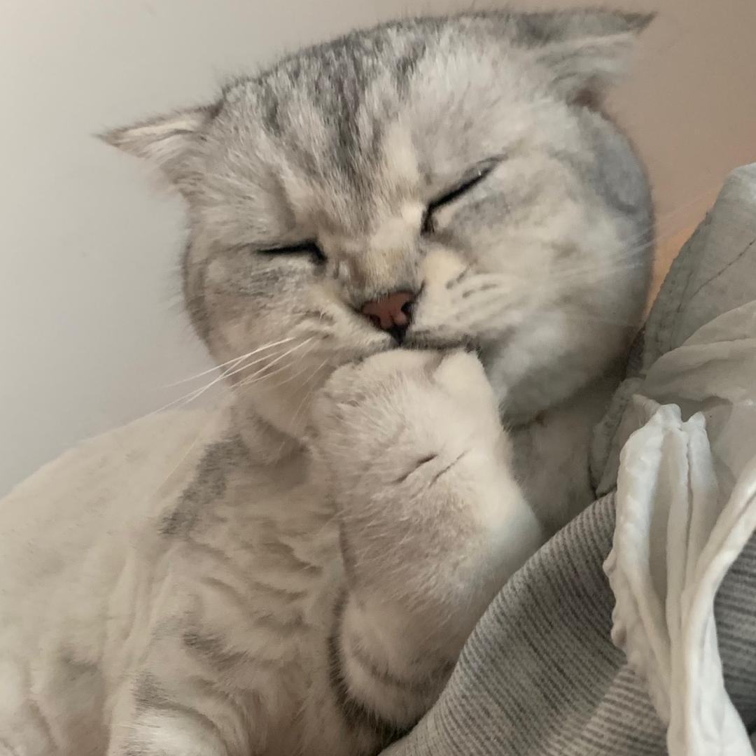 西安交大康桥老师