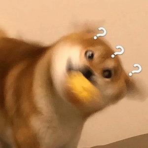 悲伤狗子（无畏契约）