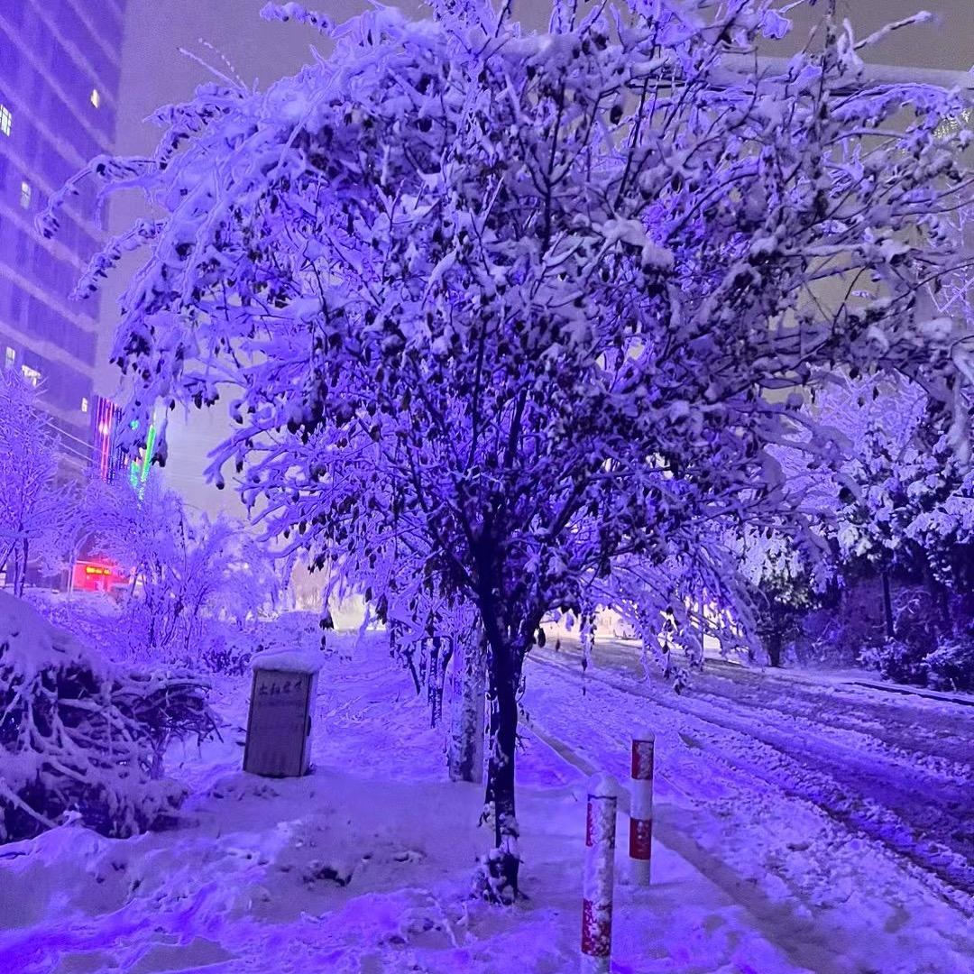 雪景