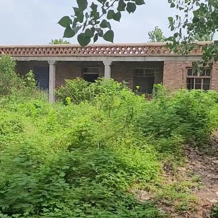 奶奶留下的小院