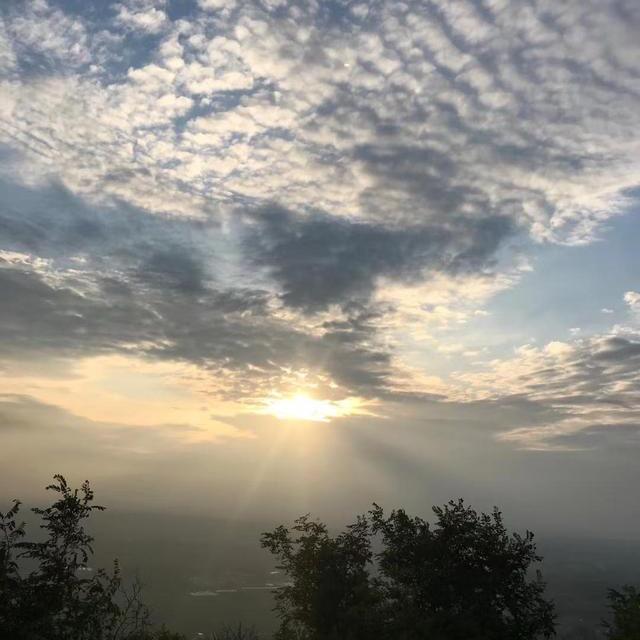 尘世浮沉玖