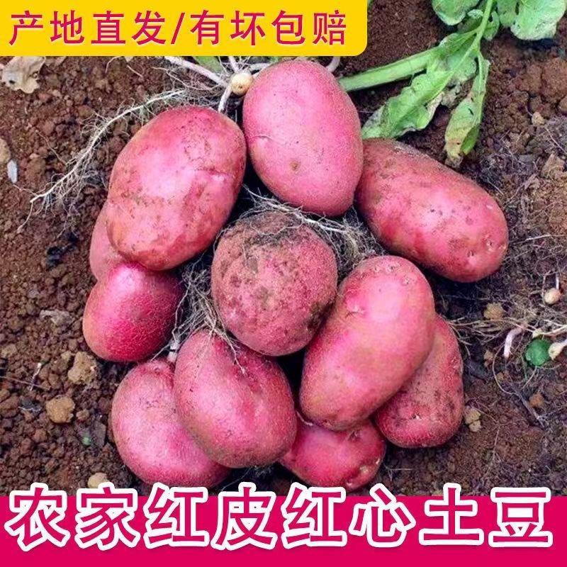 云南安安农产品