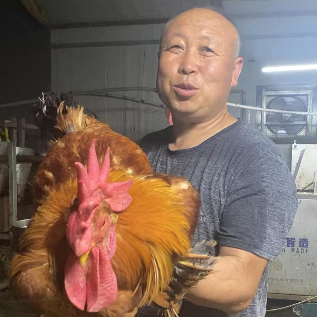 东北小老三