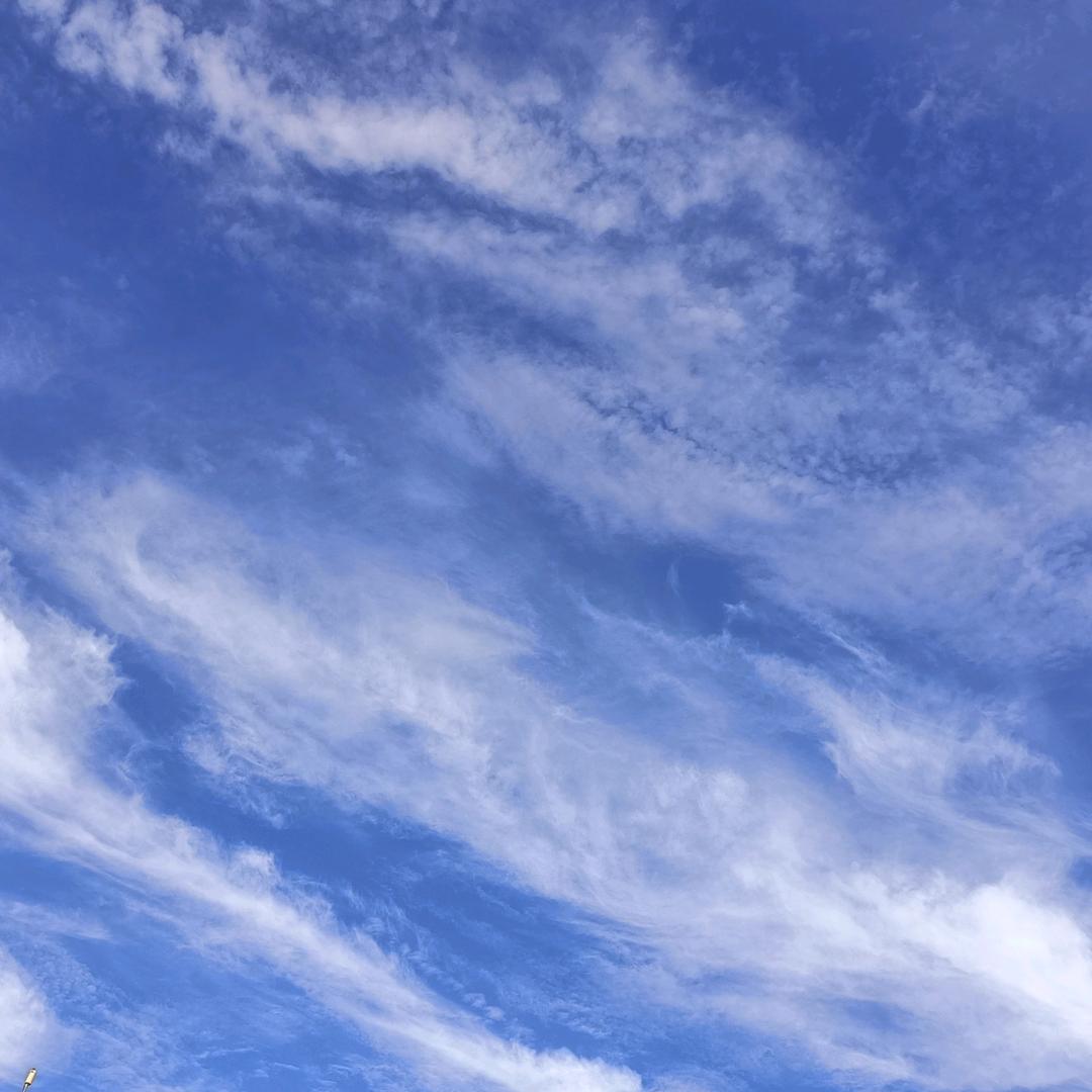 静