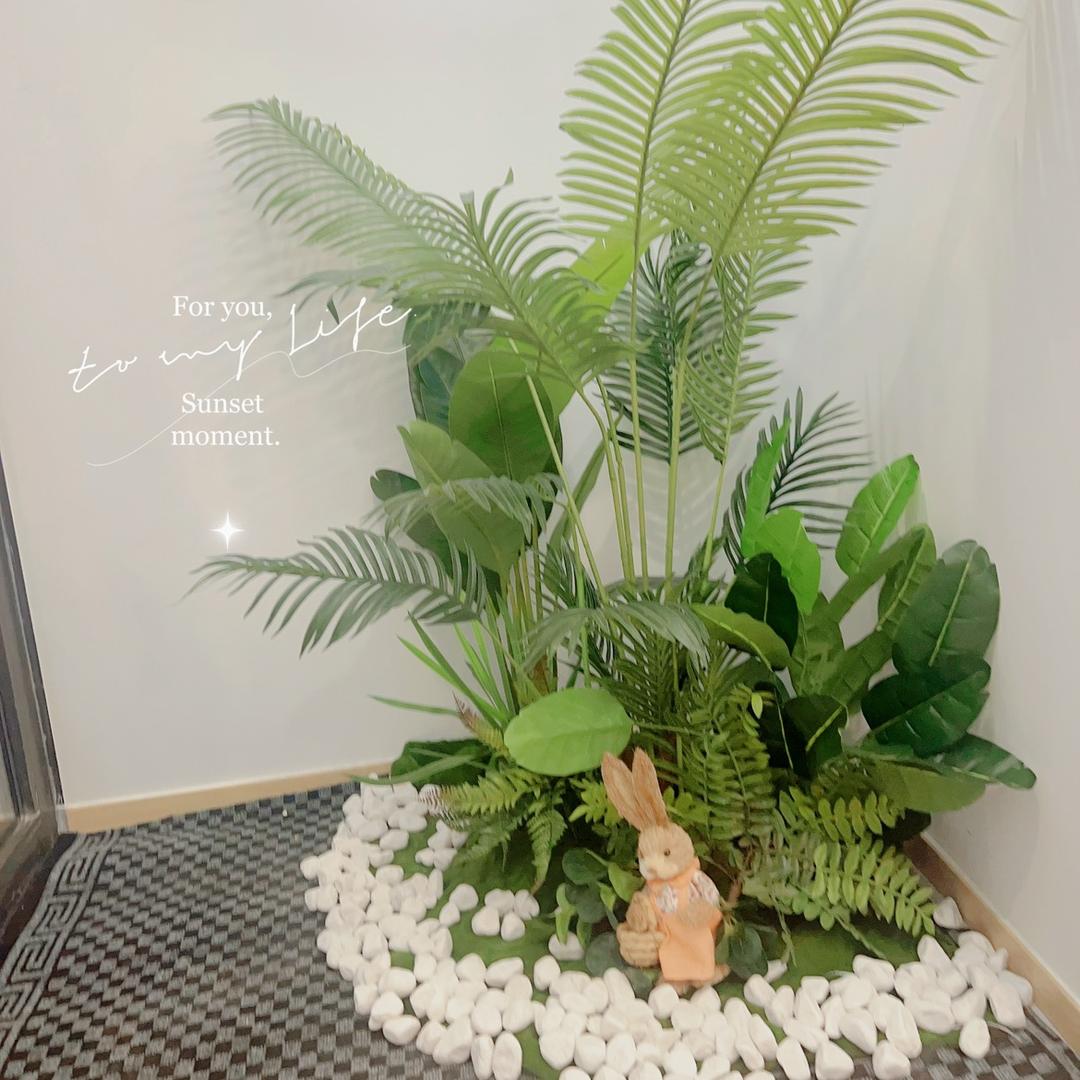 逆龄肤颜美学✔️