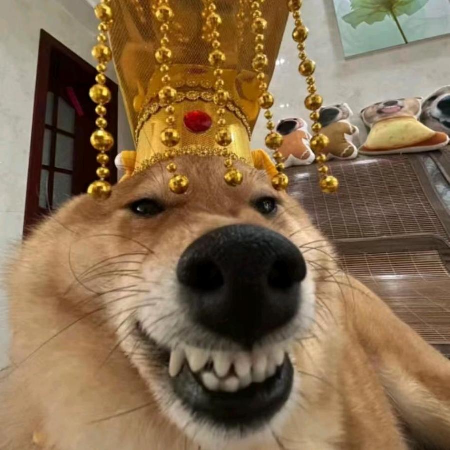 淞壬