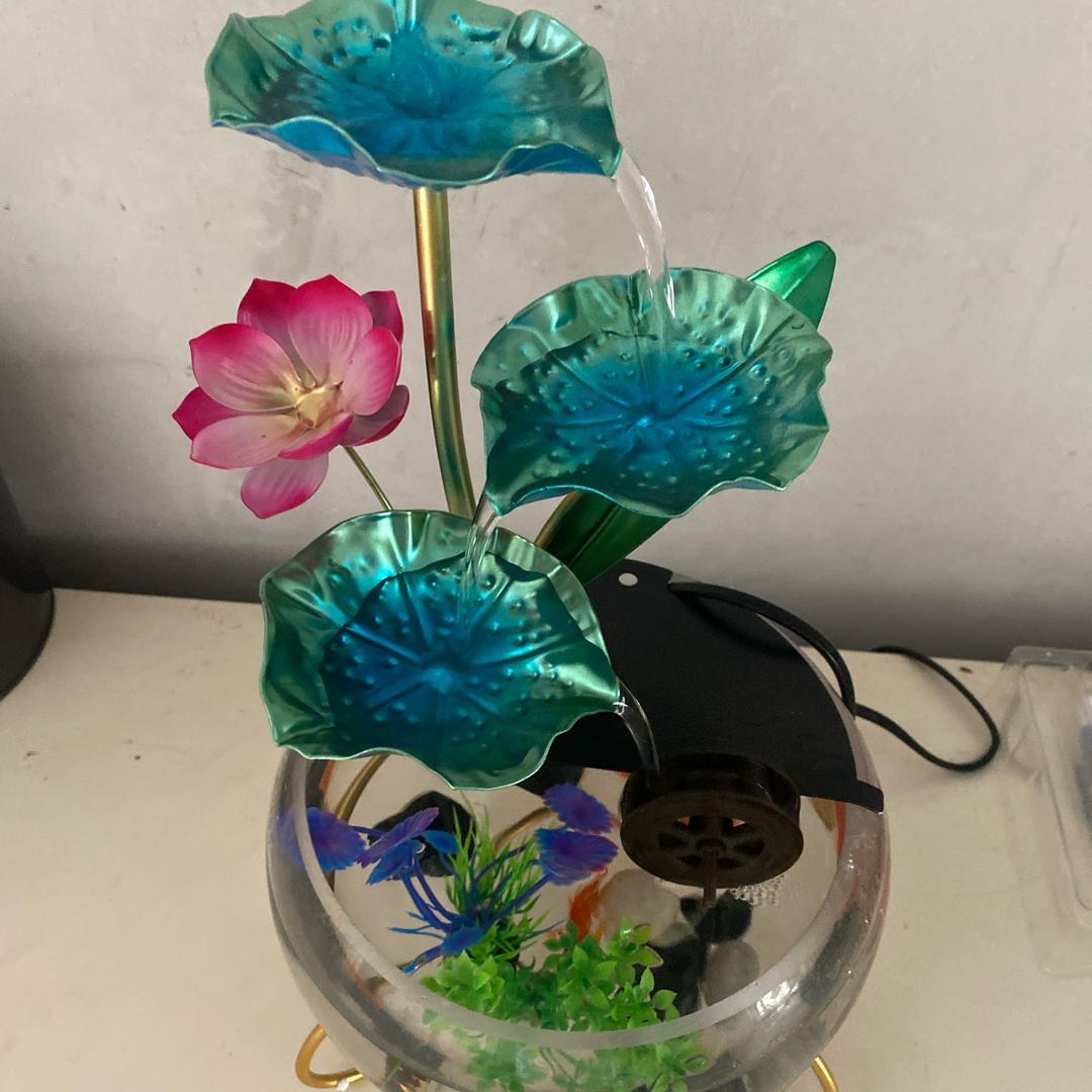 版本到底牛不牛