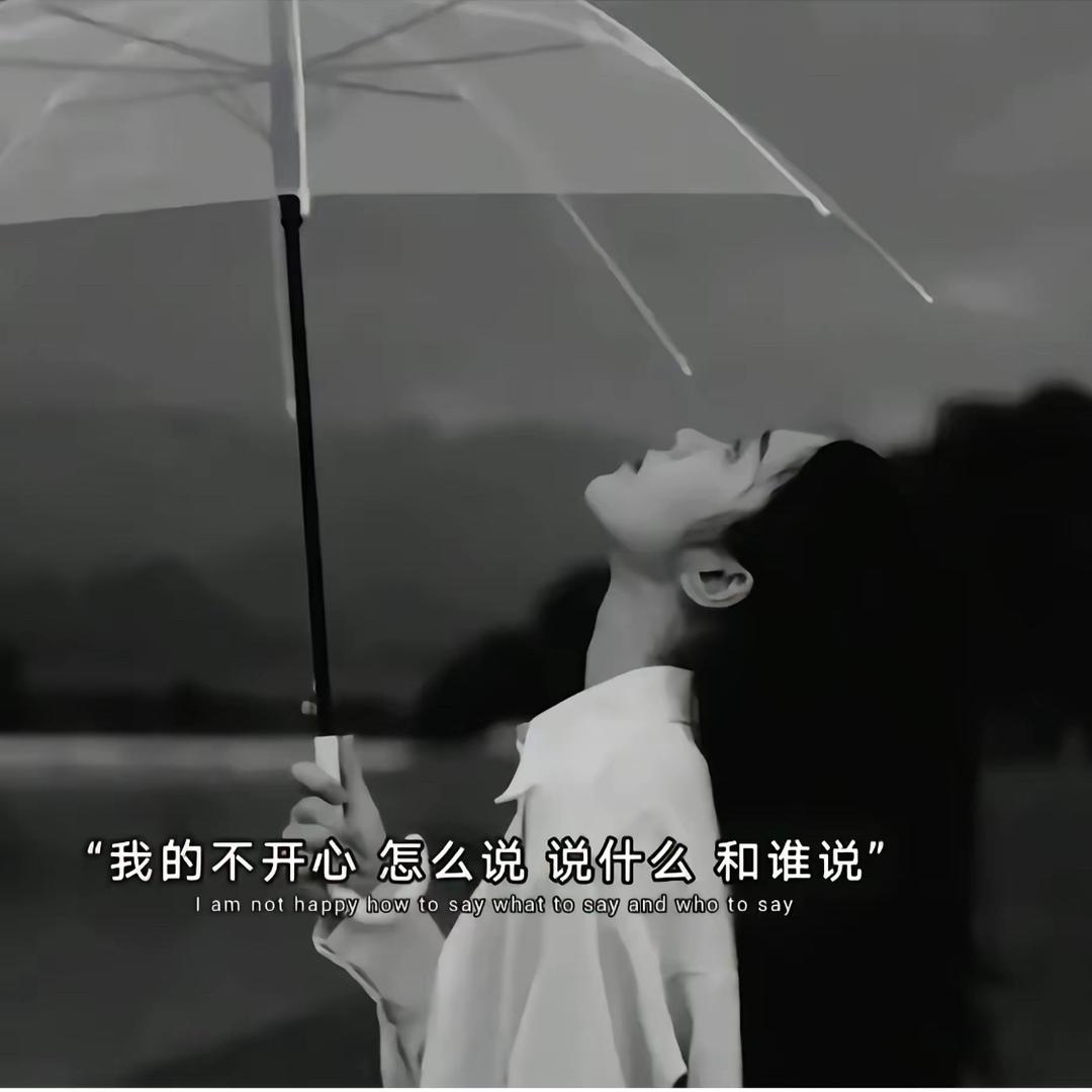 王小懒