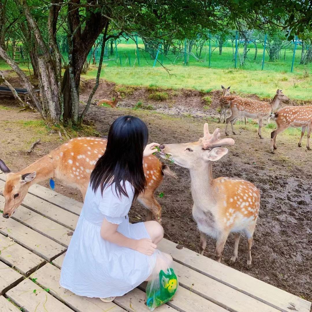 幸运橘宝