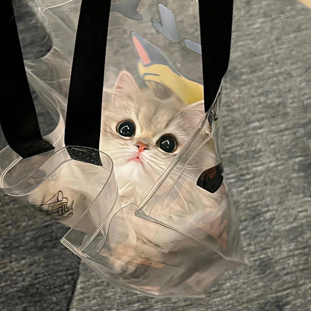 爱吃梅子