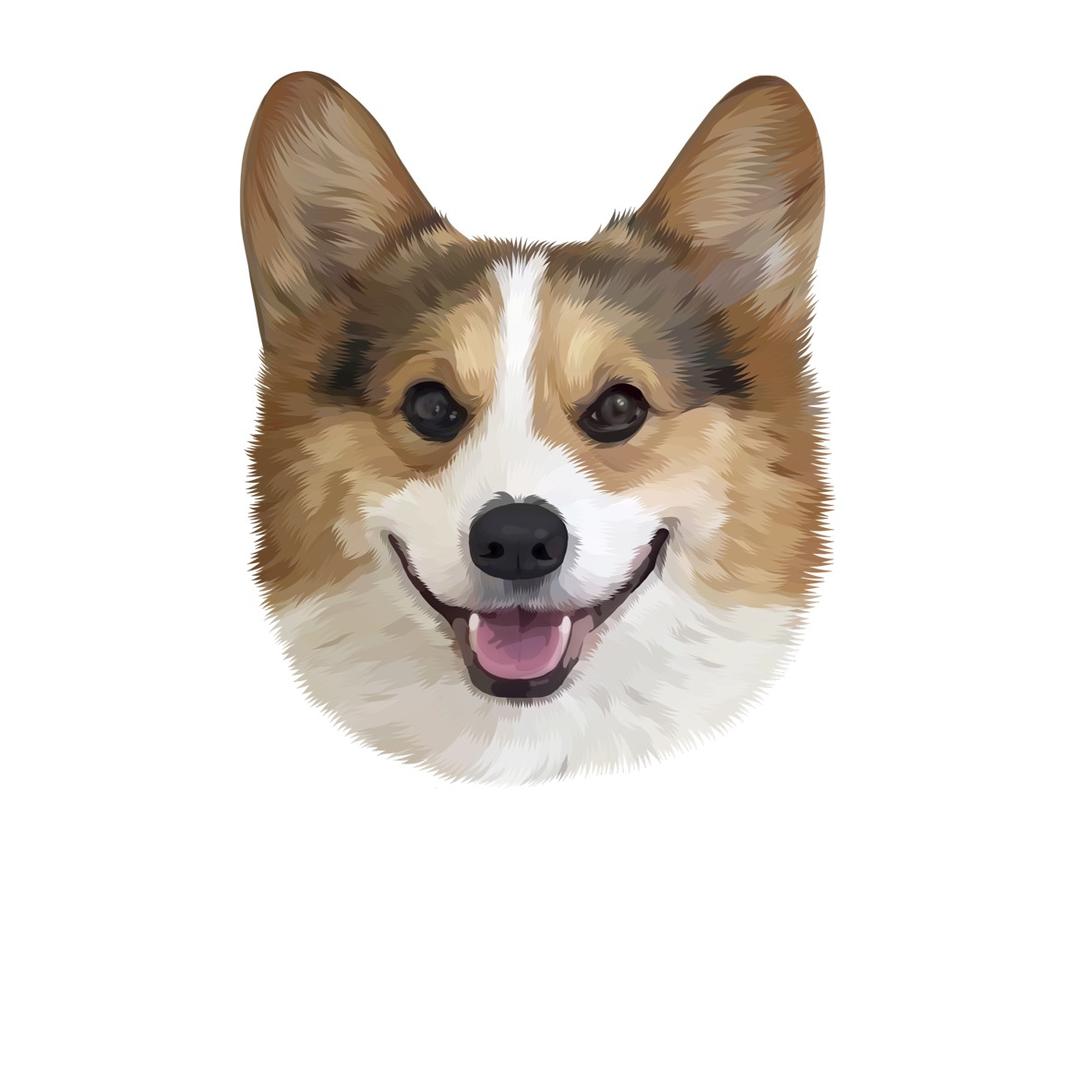 洛奇的汪星旅途