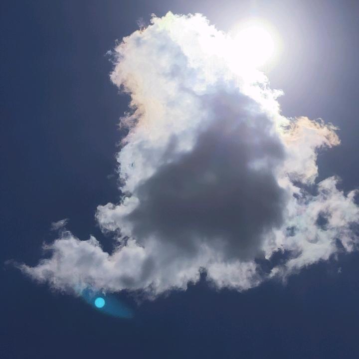 浮夸丶