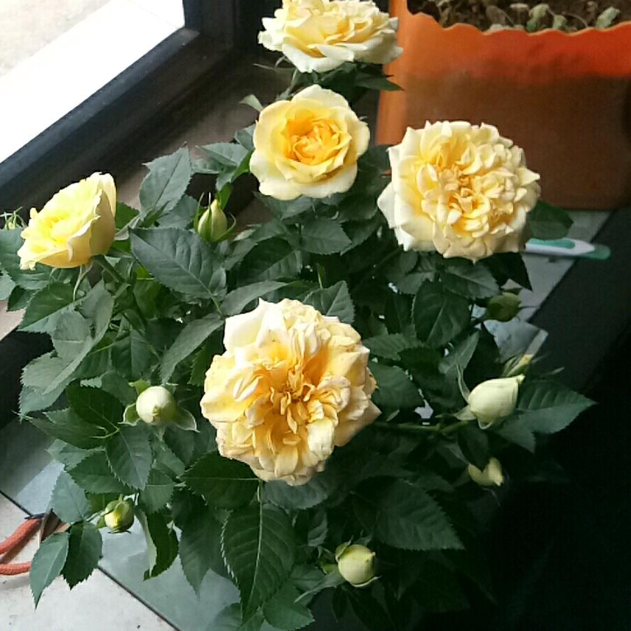 时光荏苒26385丨丨↗丨丨↗才丨户户火