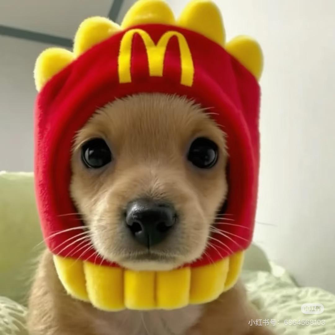 千禧（36赛季一天封神）