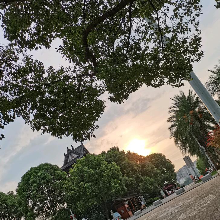 清浅在长沙