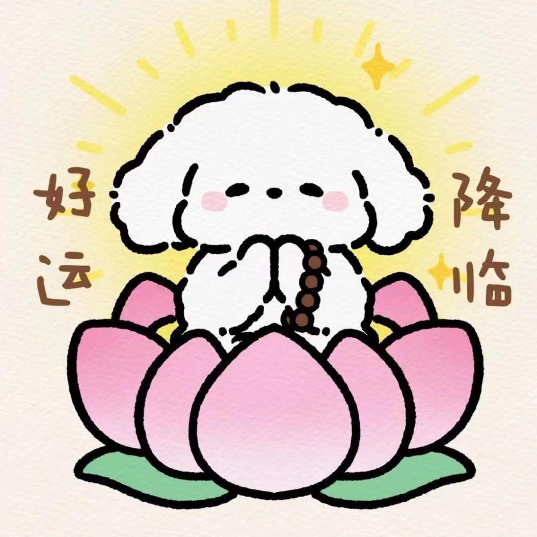 锦李上安