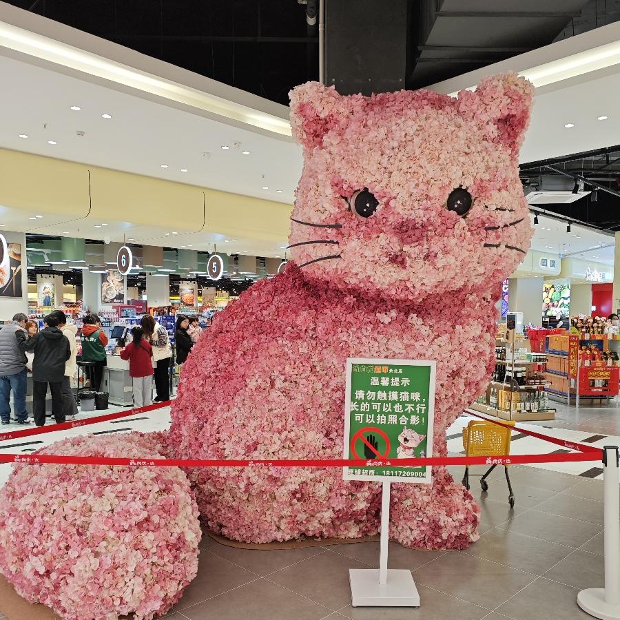 小信 存钱买小米su7