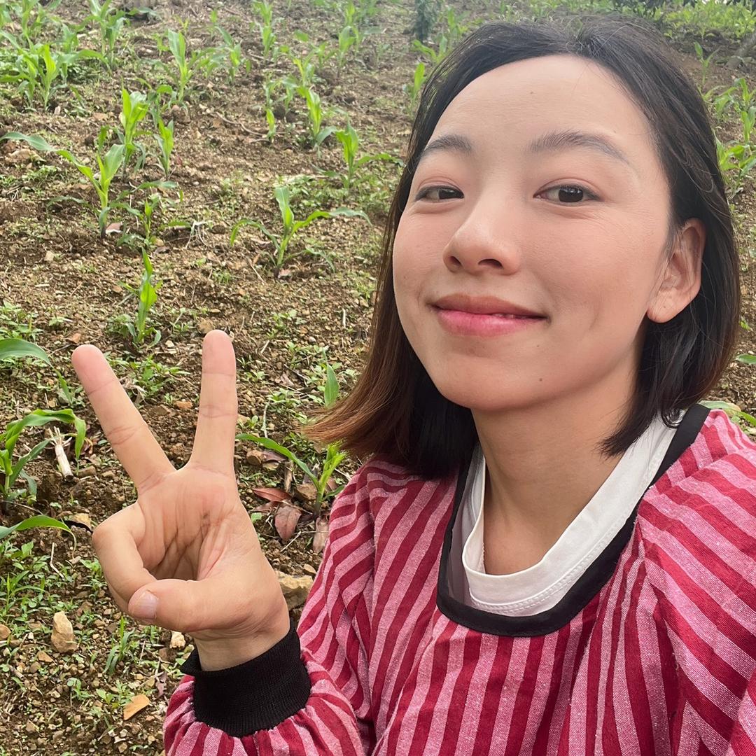 农村莉莉