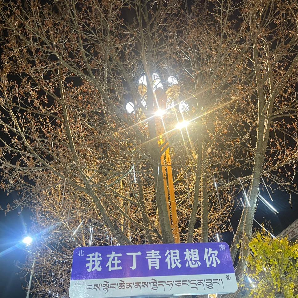 是周驰啊