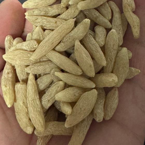 御盛堂滋补店麦冬