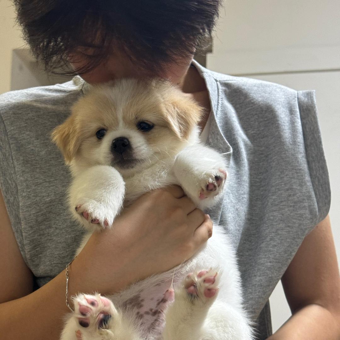 好运来～