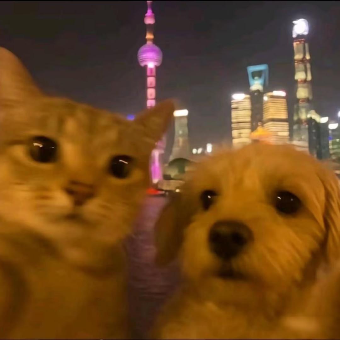 南邮洋洋学姐