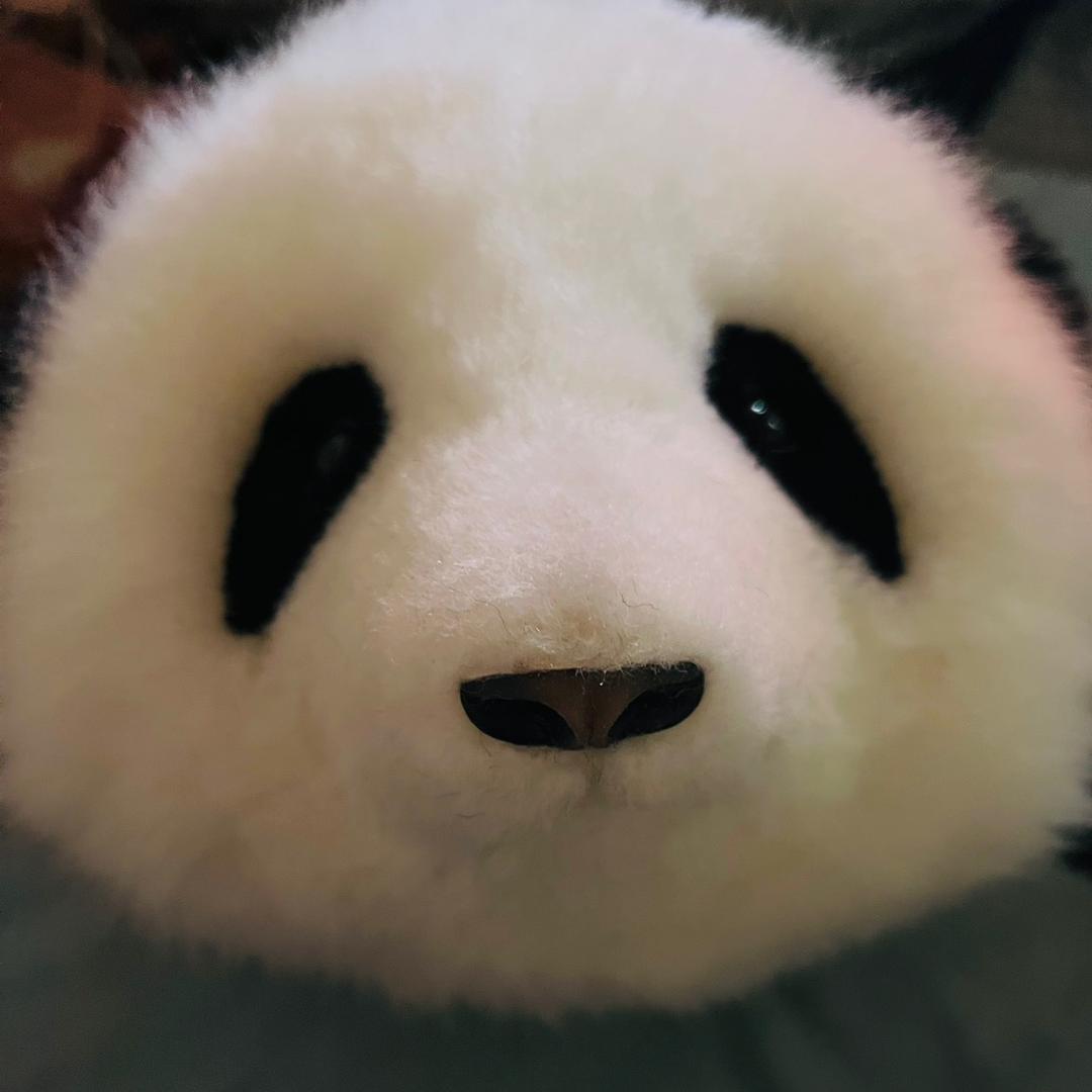 甜甜紫不语
