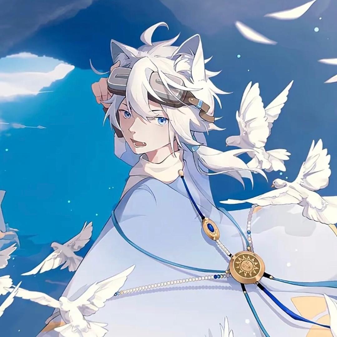 疯了的风行向导