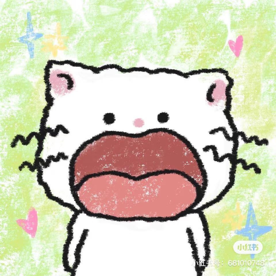 小鸡舰队出击-姜丝