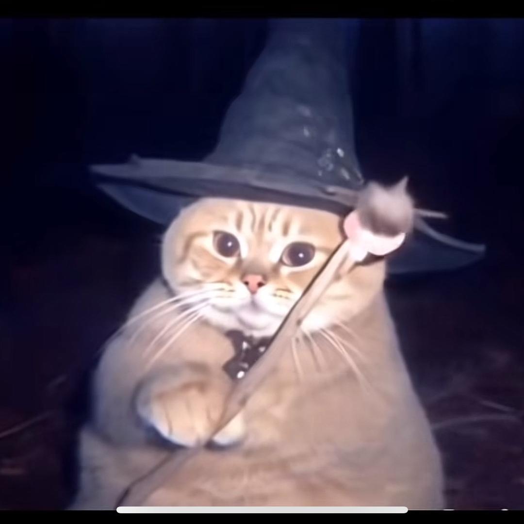 狂吃不胖豆瓣酱