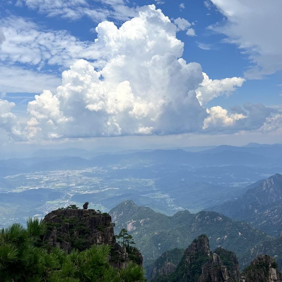 青春未了
