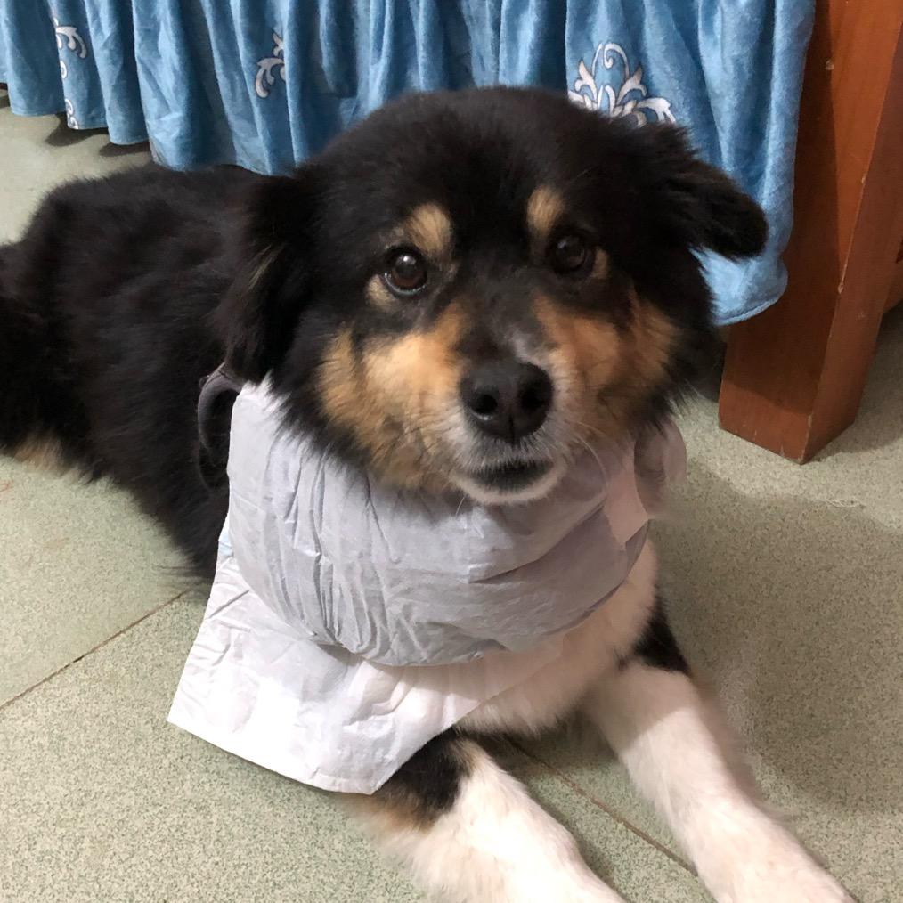 Liy馒头