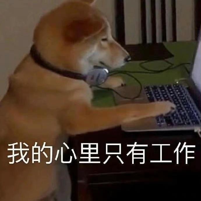 伪人勇闯地球村•᷄ࡇ•᷅