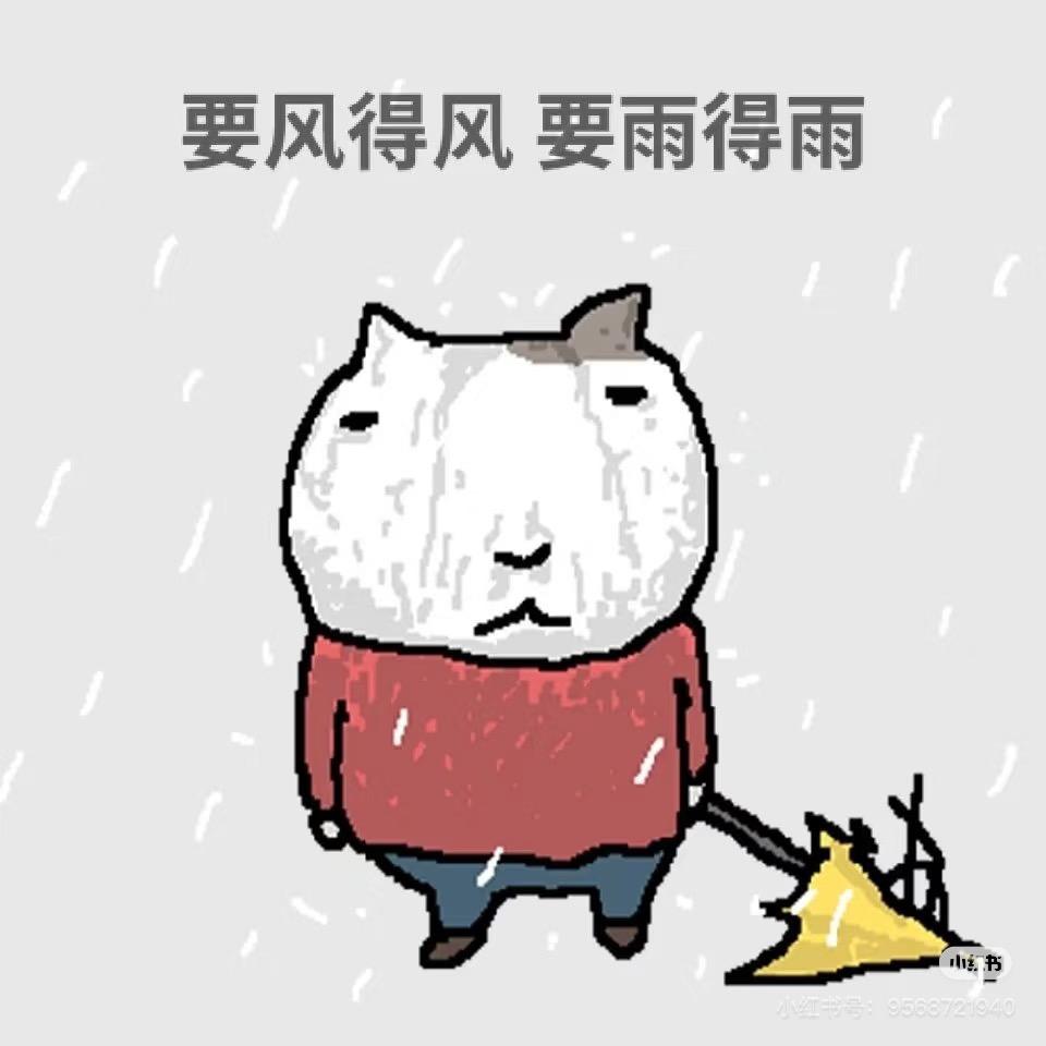 黄豆糕糕♾️