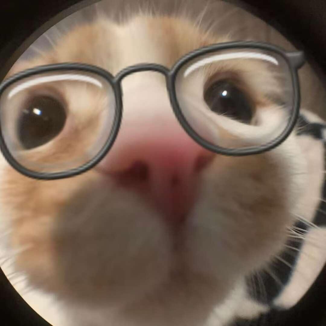 无敌猫猫（国服少思源，大乔）