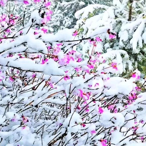 一线天，看看。