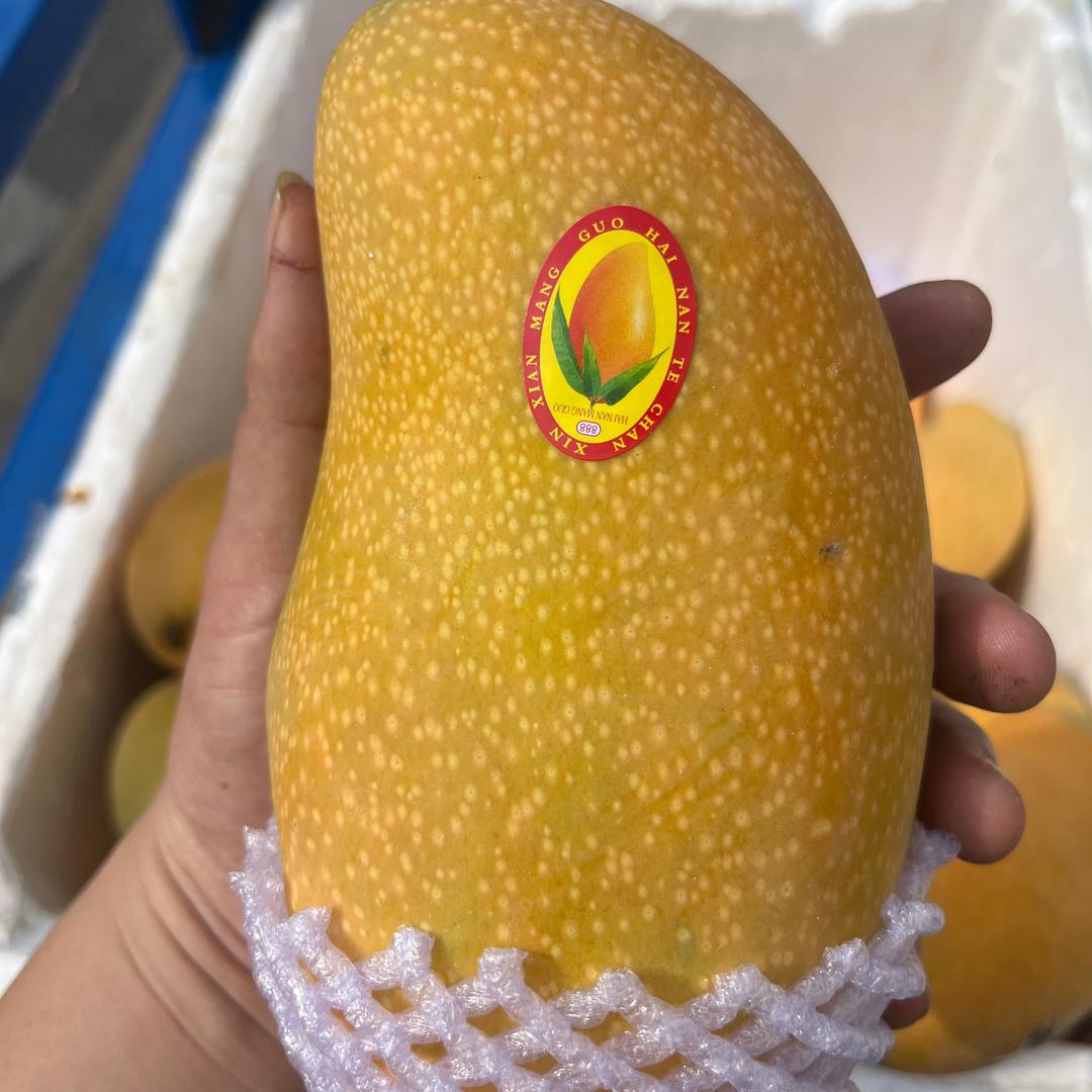 忙忙果果