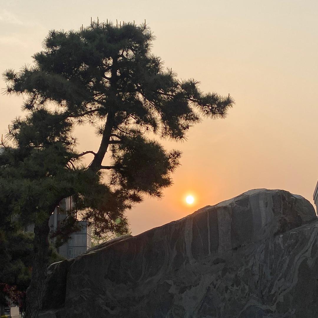 禅先生